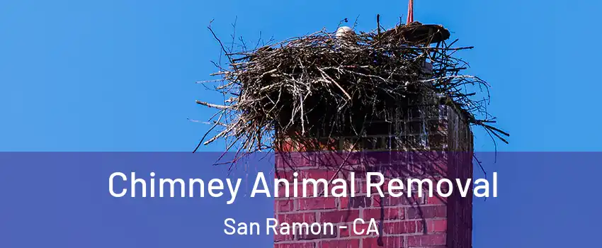  Chimney Animal Removal San Ramon - CA