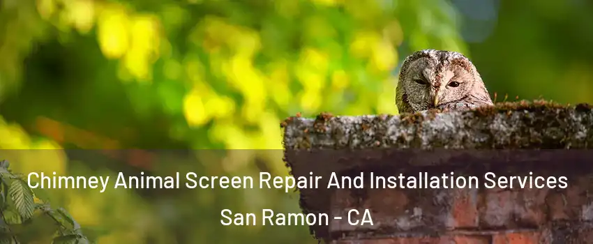  Chimney Animal Screen Repair And Installation Services San Ramon - CA