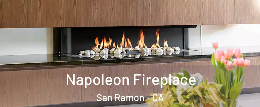  Napoleon Fireplace San Ramon - CA
